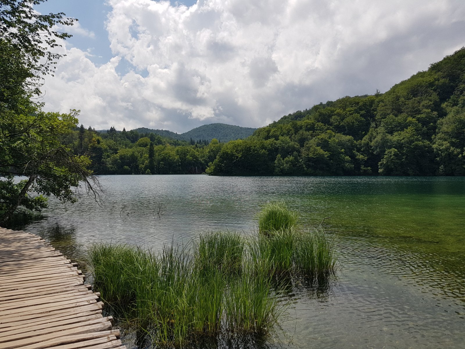 20180706_143456.jpg