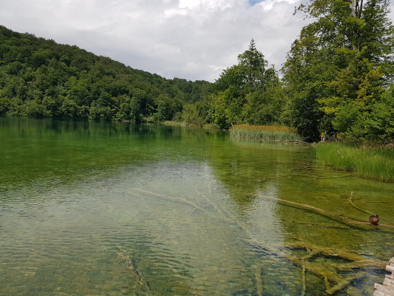 20180706_143458.jpg