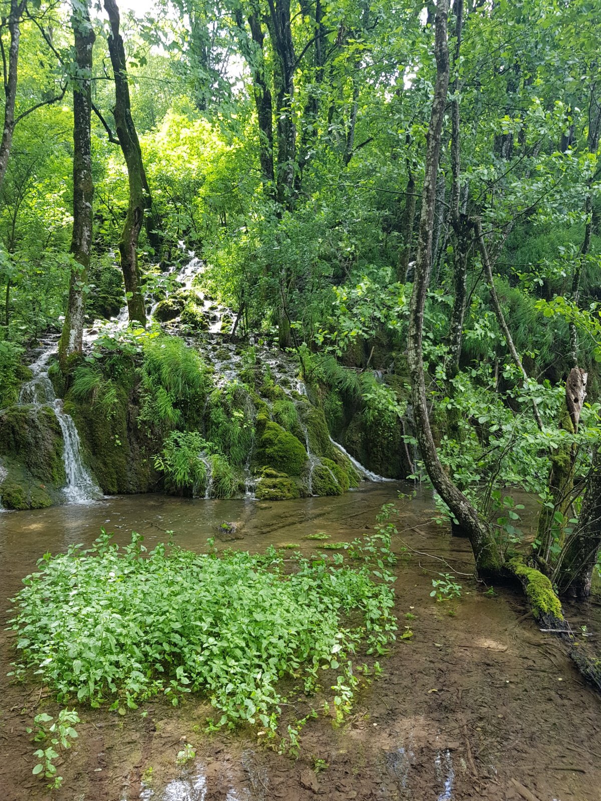20180706_144433.jpg