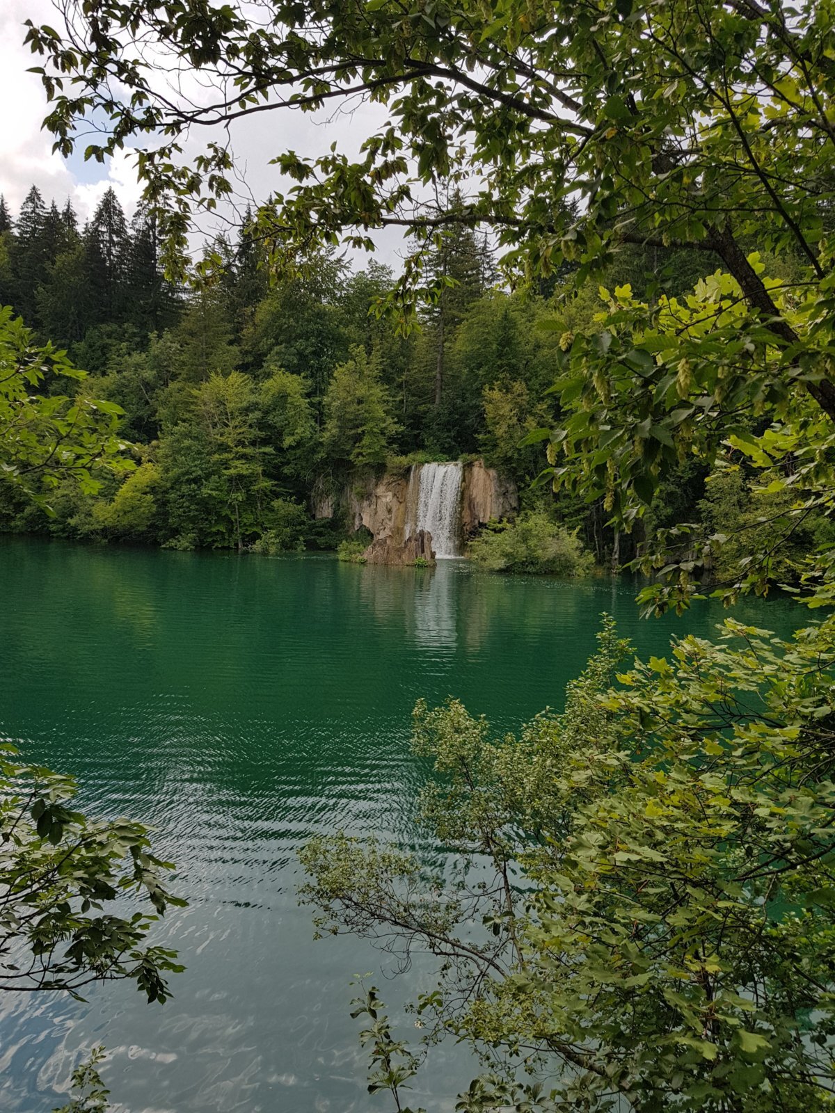 20180706_151425.jpg