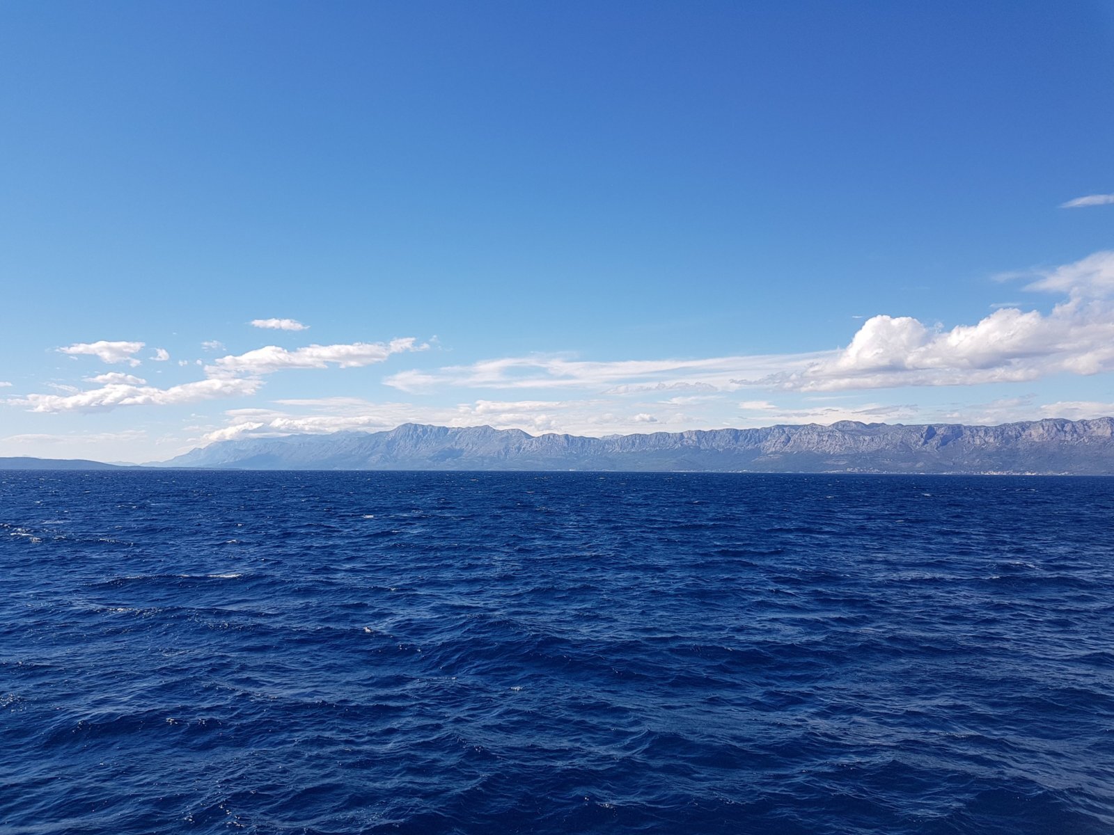 20180707_165456.jpg