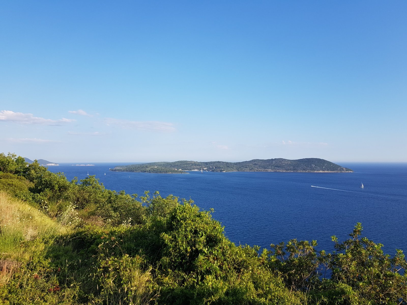 20180707_184117.jpg