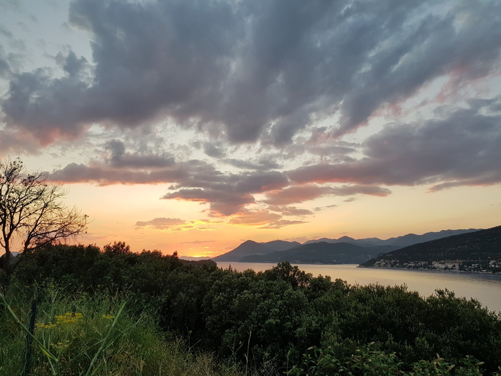 20180707_202607.jpg