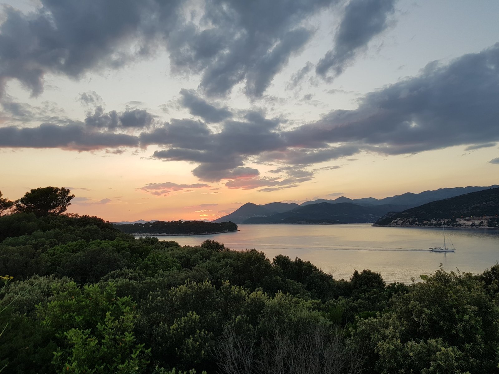 20180707_203003.jpg