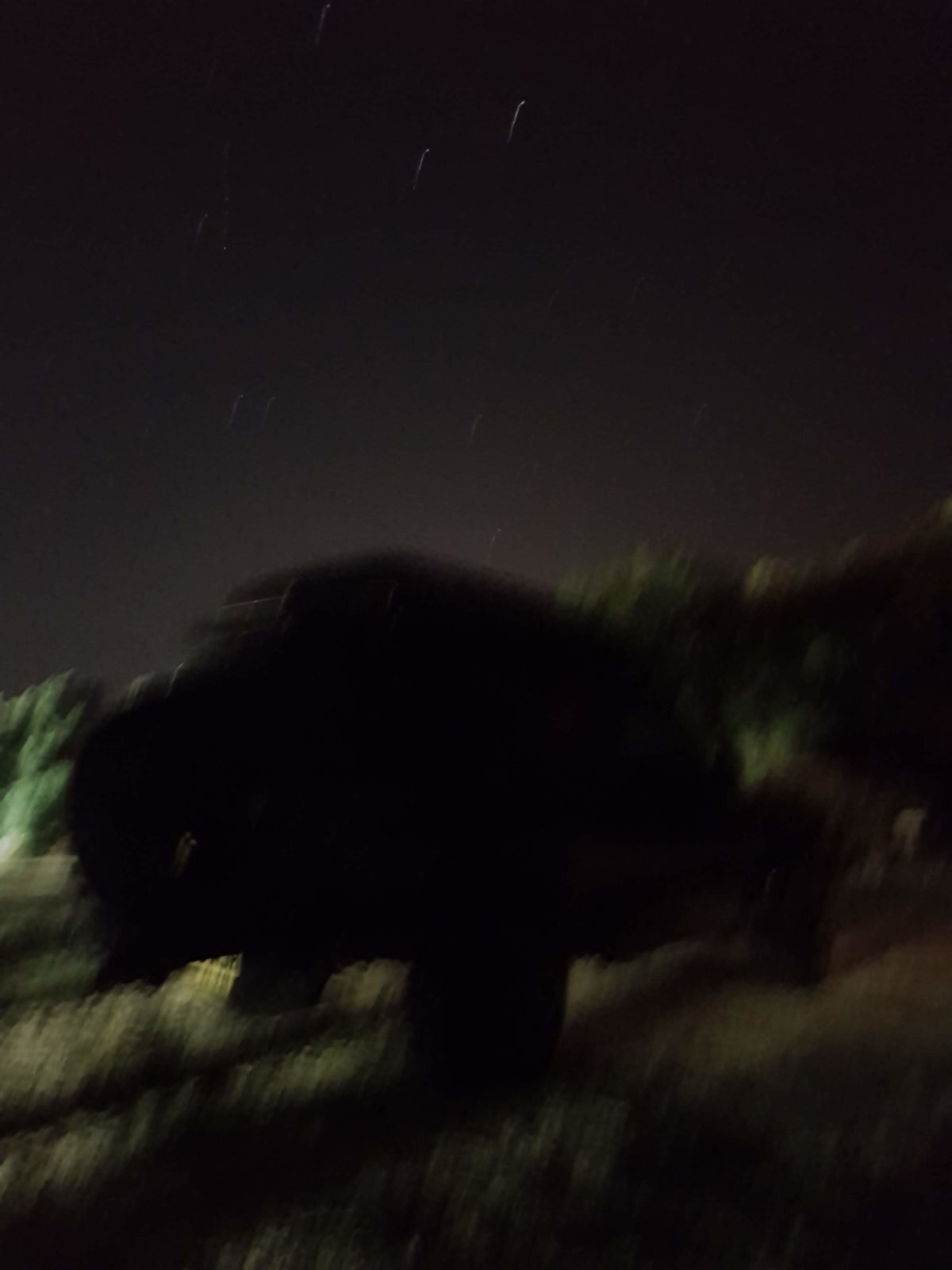 20180707_223516.jpg