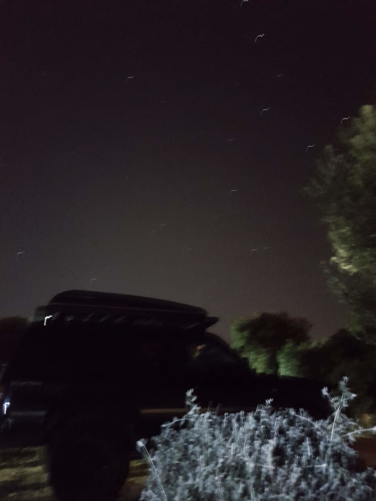 20180707_224235.jpg