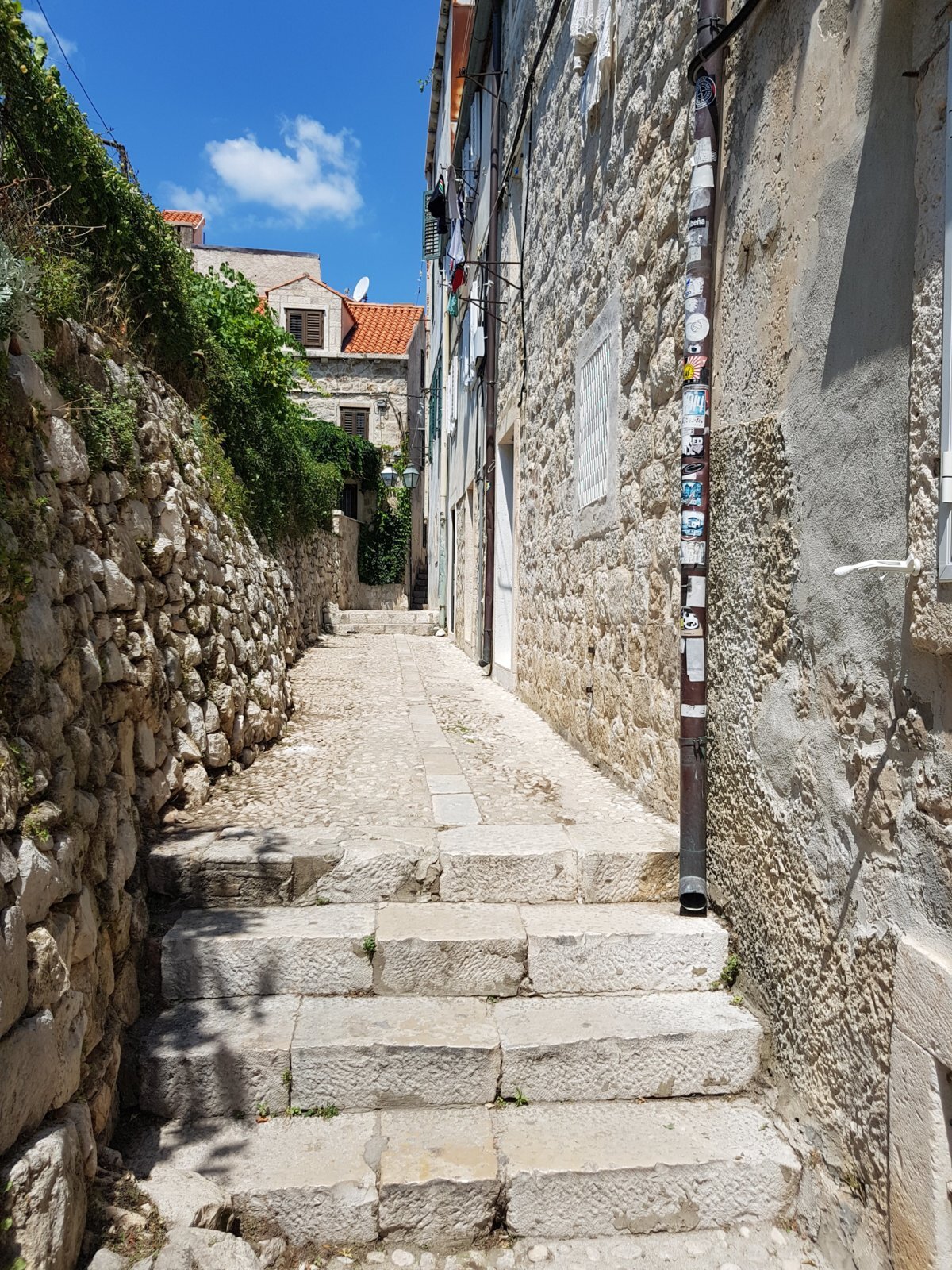 20180708_115320.jpg
