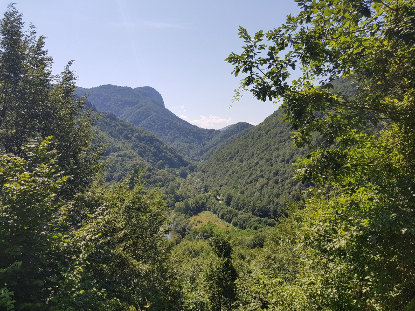 20180710_102221.jpg