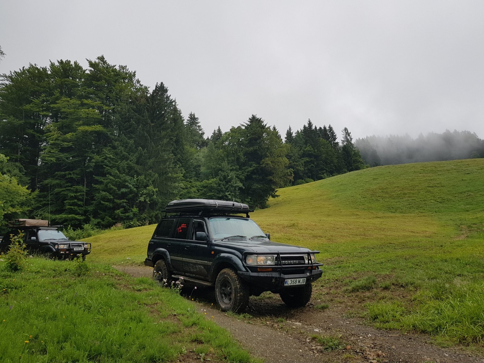 20180711_125116.jpg