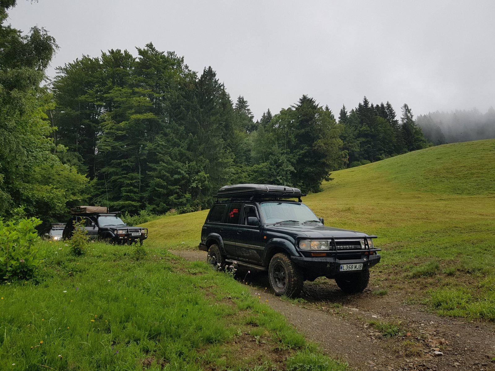 20180711_125119.jpg