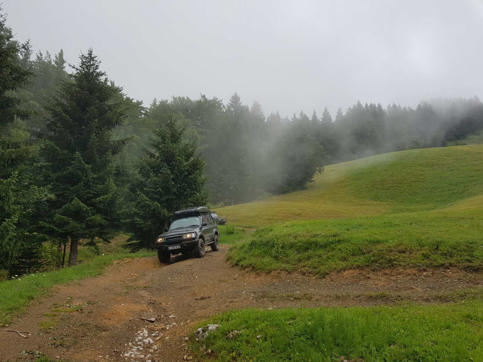20180711_125359.jpg