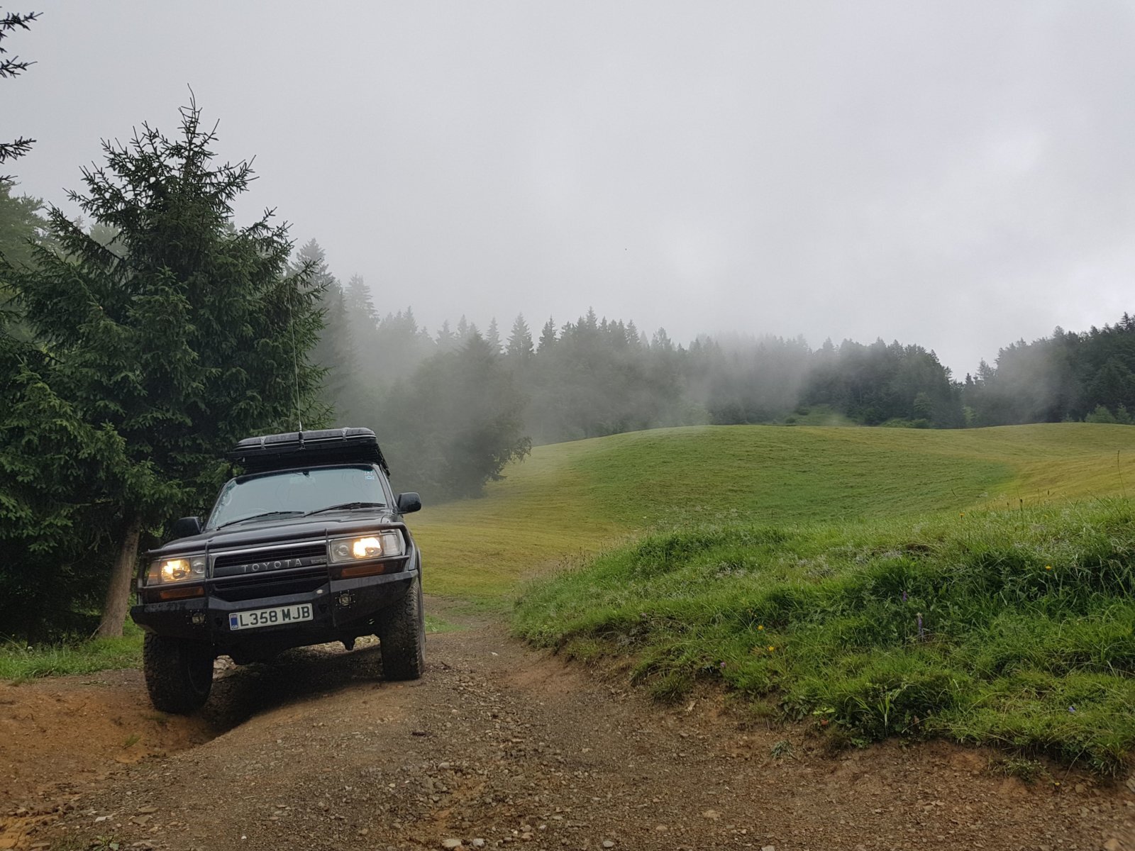 20180711_125410.jpg