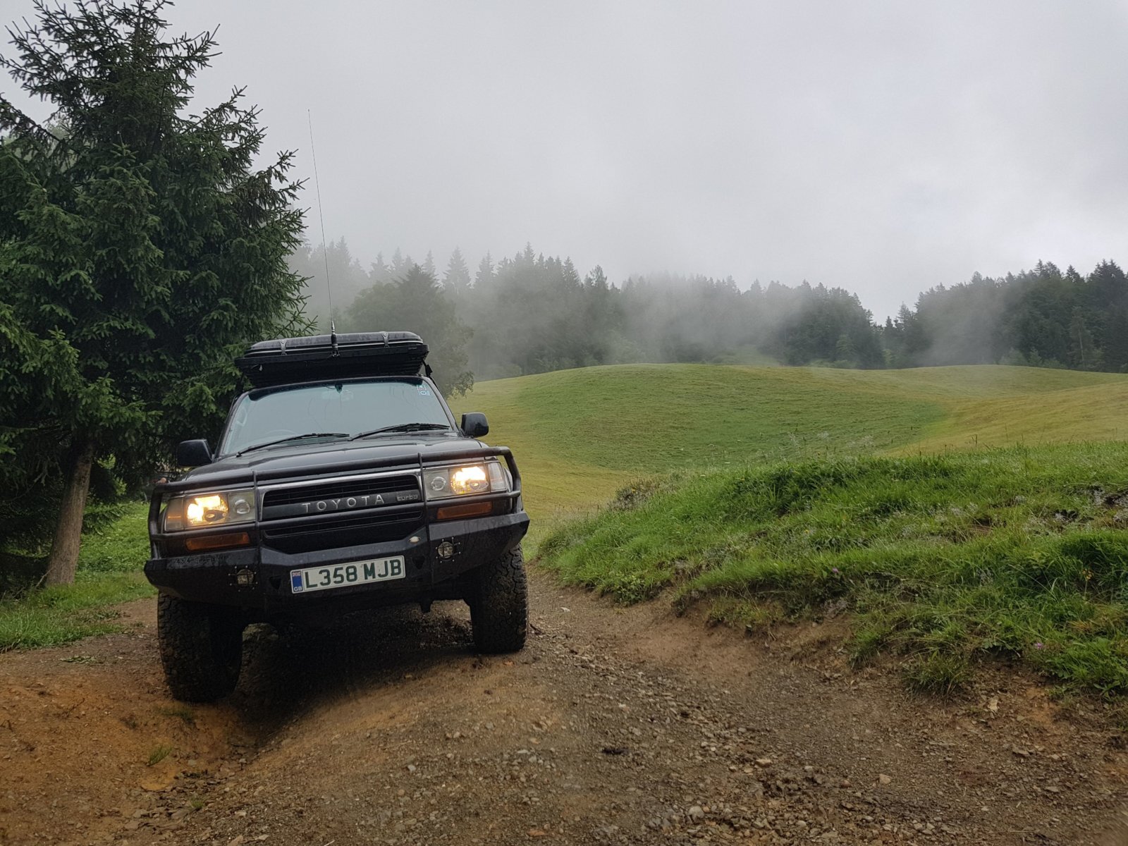 20180711_125422.jpg