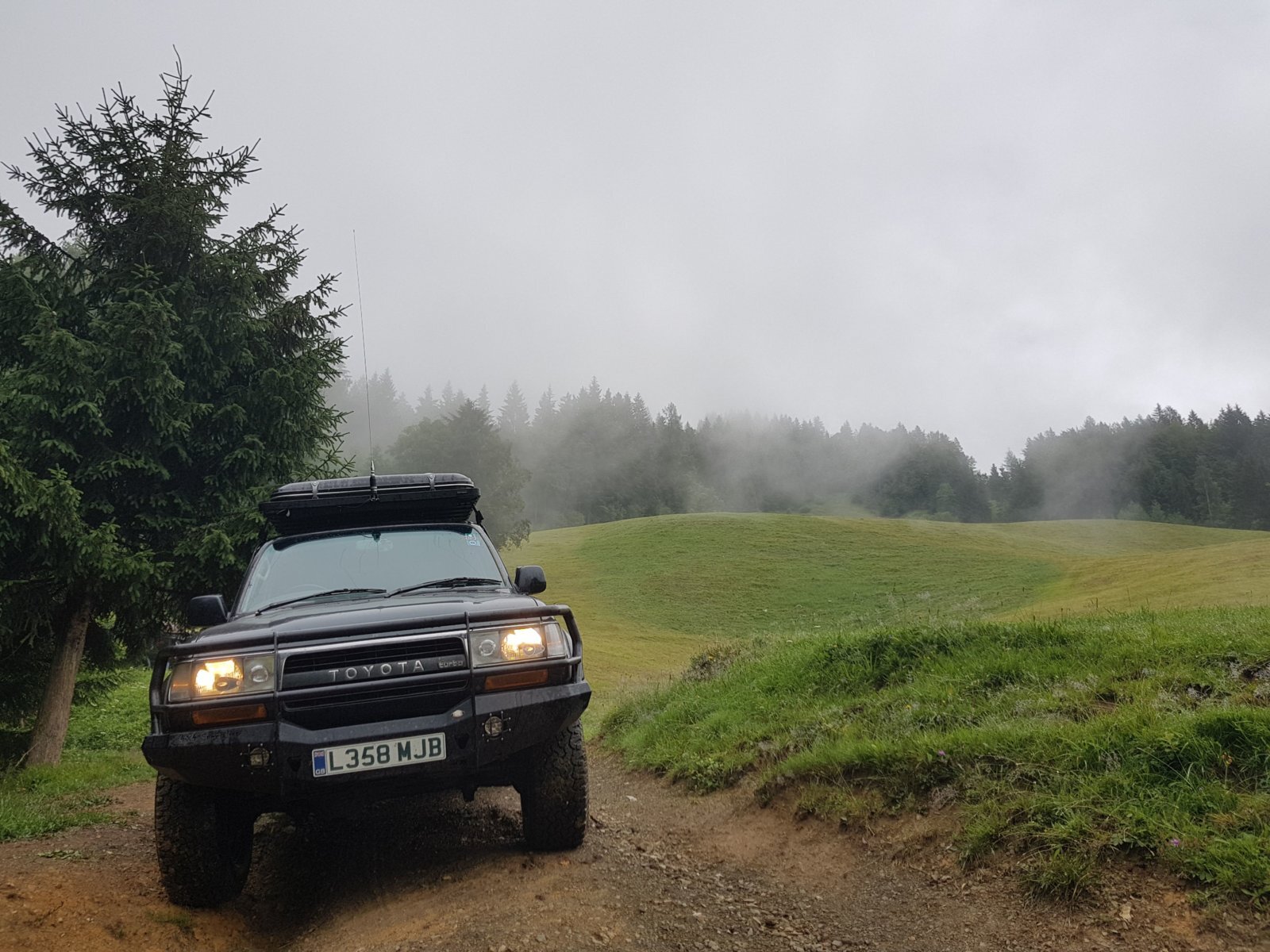 20180711_125423.jpg