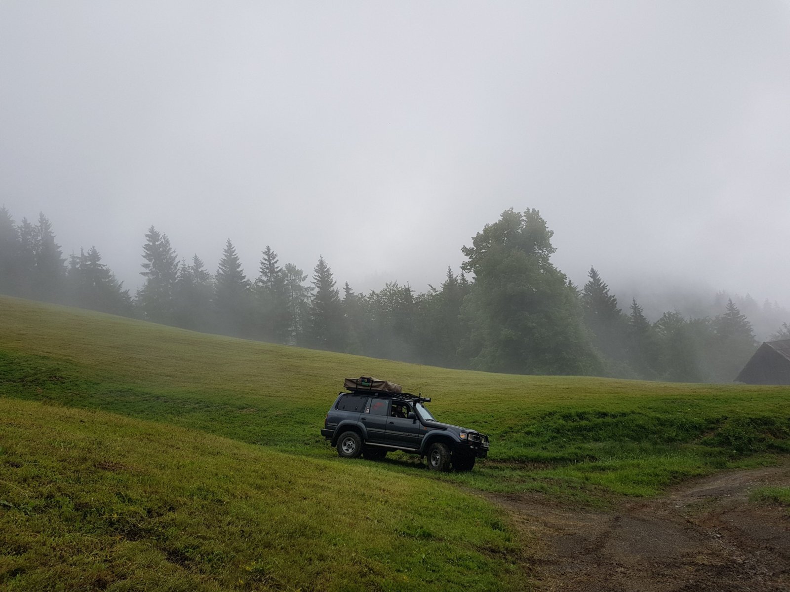 20180711_125736.jpg