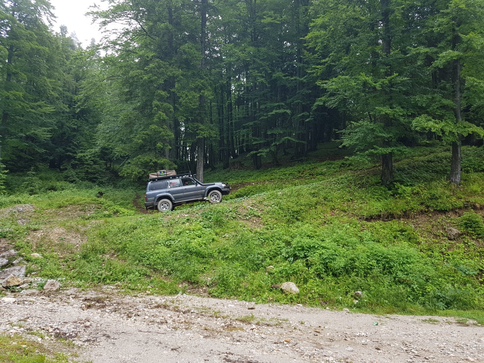 20180711_140516.jpg