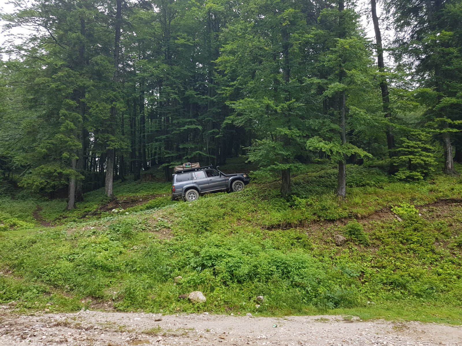 20180711_140517(0).jpg