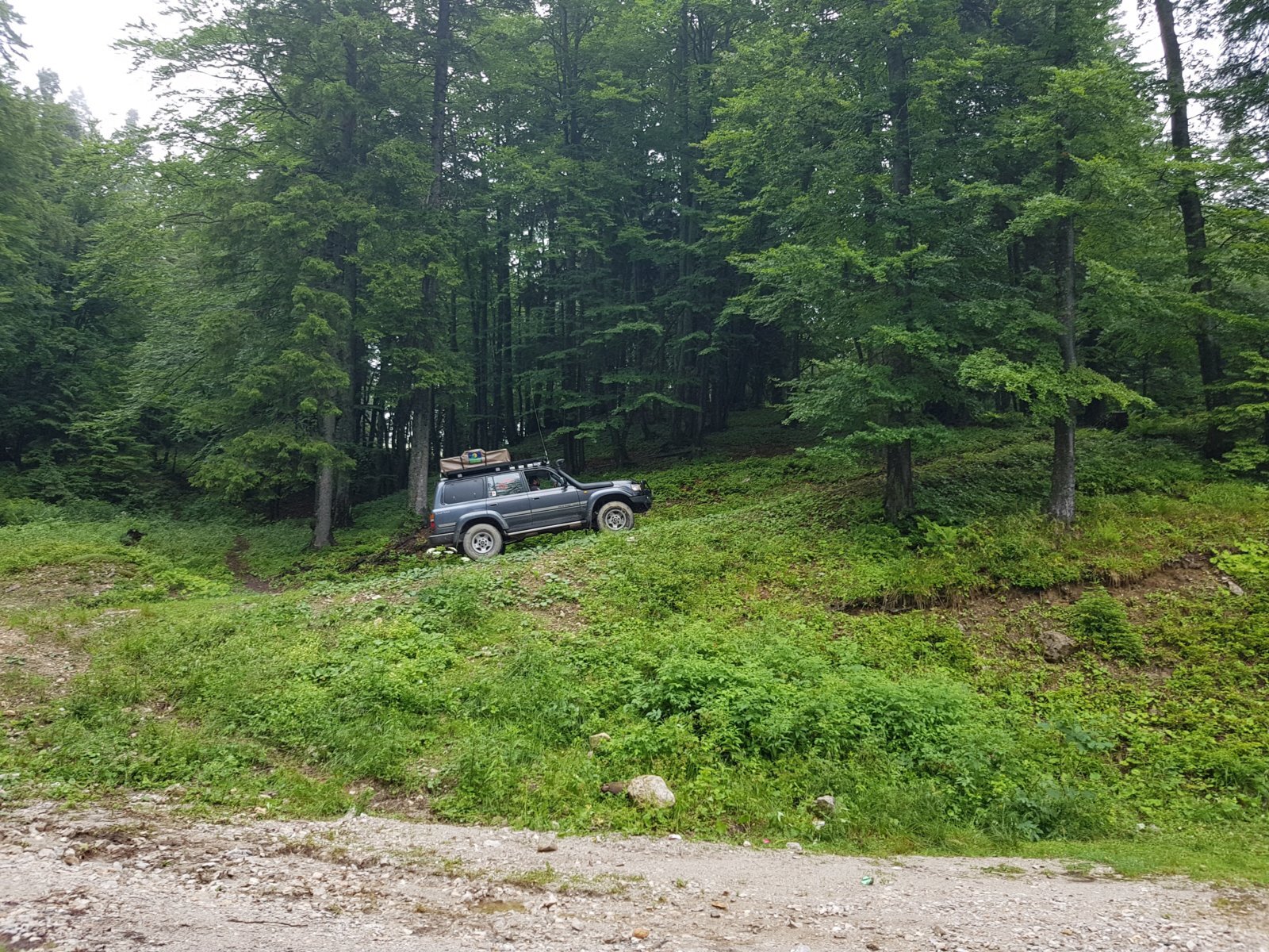 20180711_140517.jpg