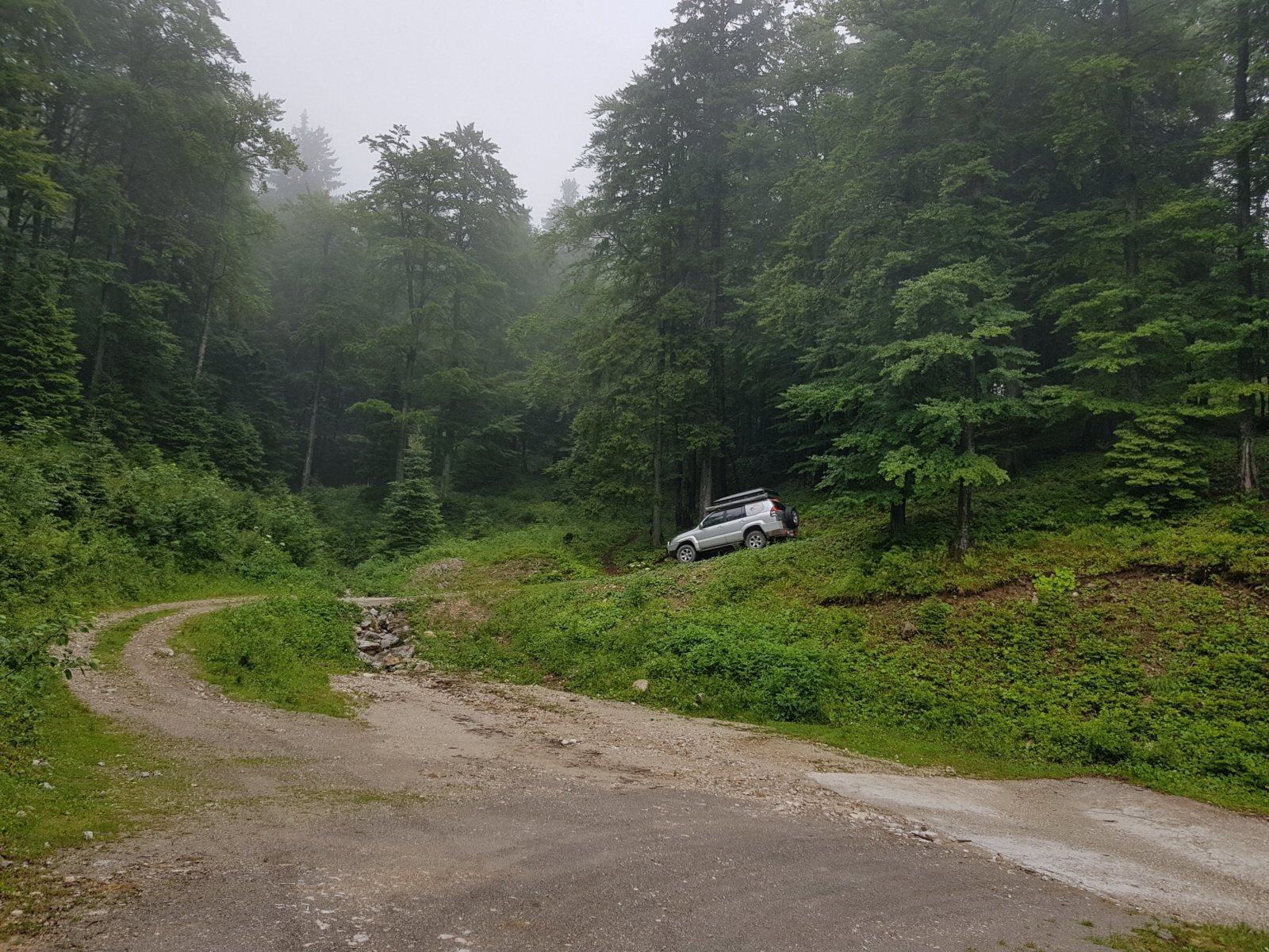 20180711_140712.jpg