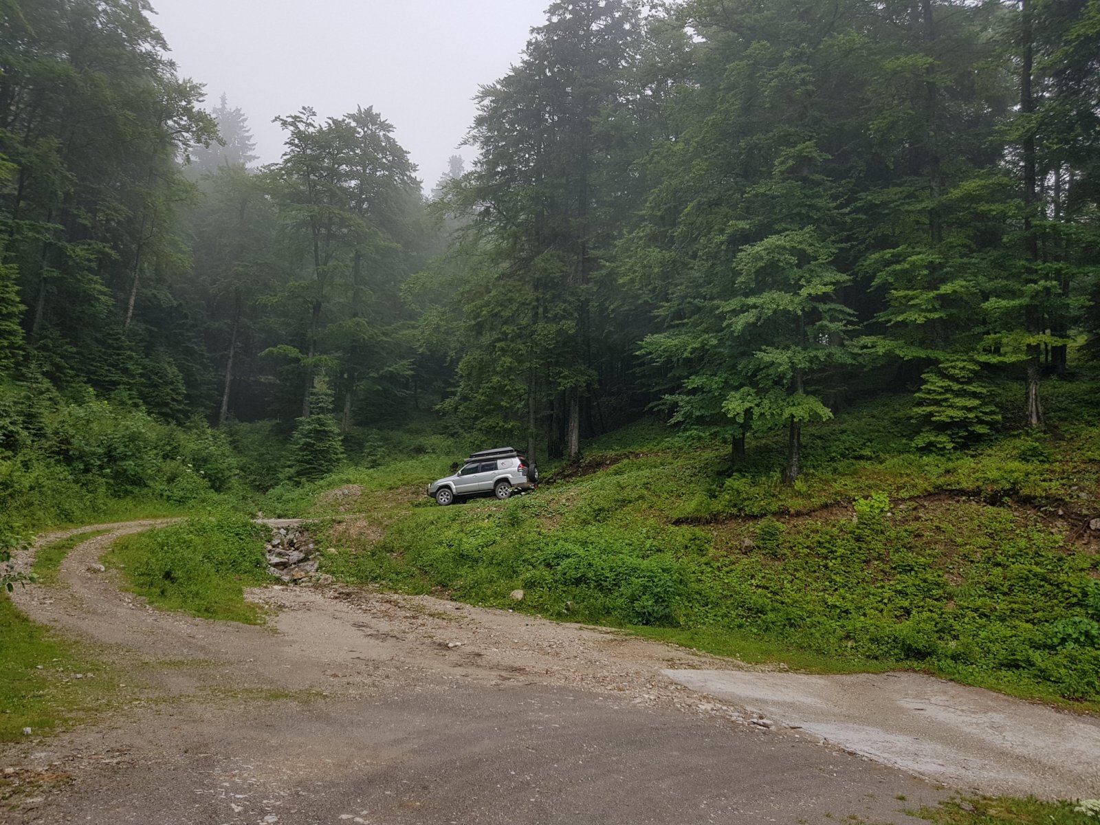 20180711_140714.jpg