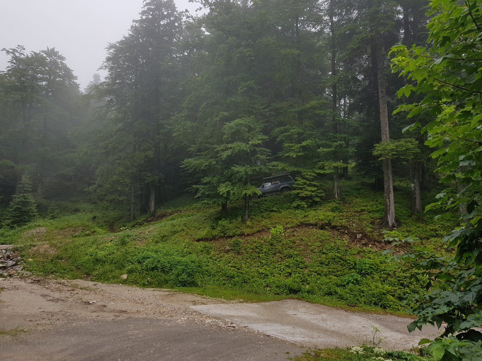 20180711_140735.jpg