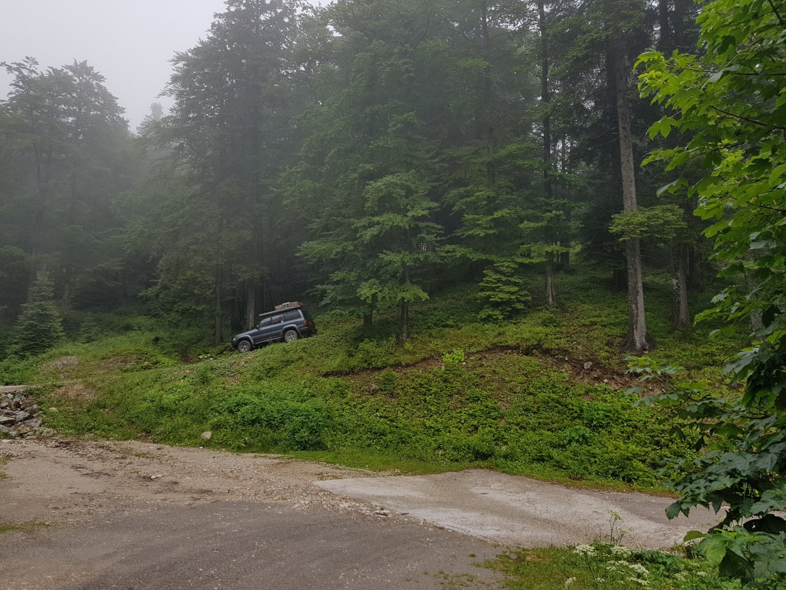 20180711_140742.jpg