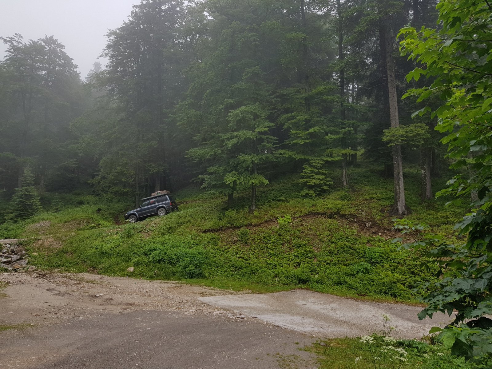 20180711_140744.jpg