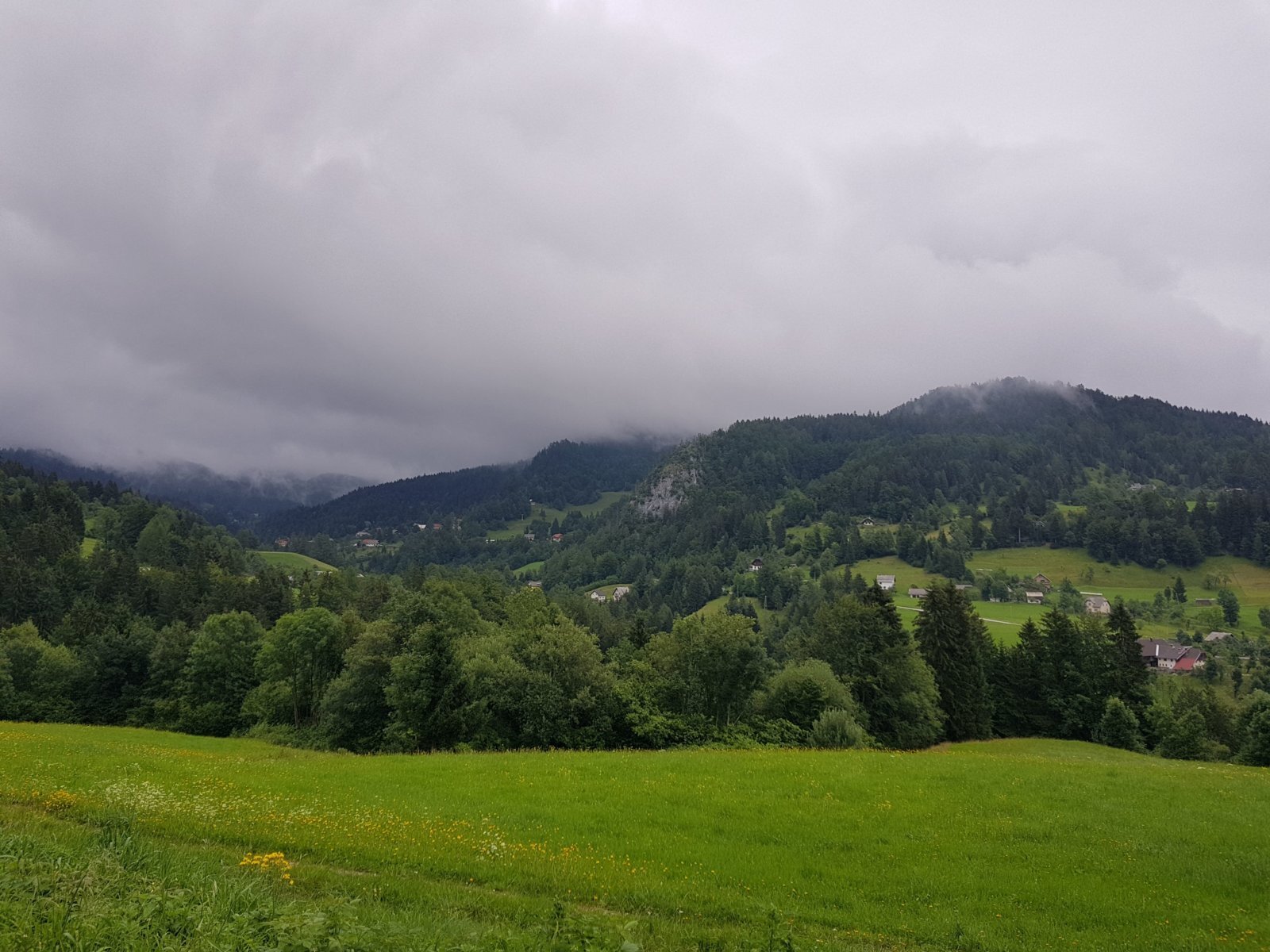 20180711_150728.jpg