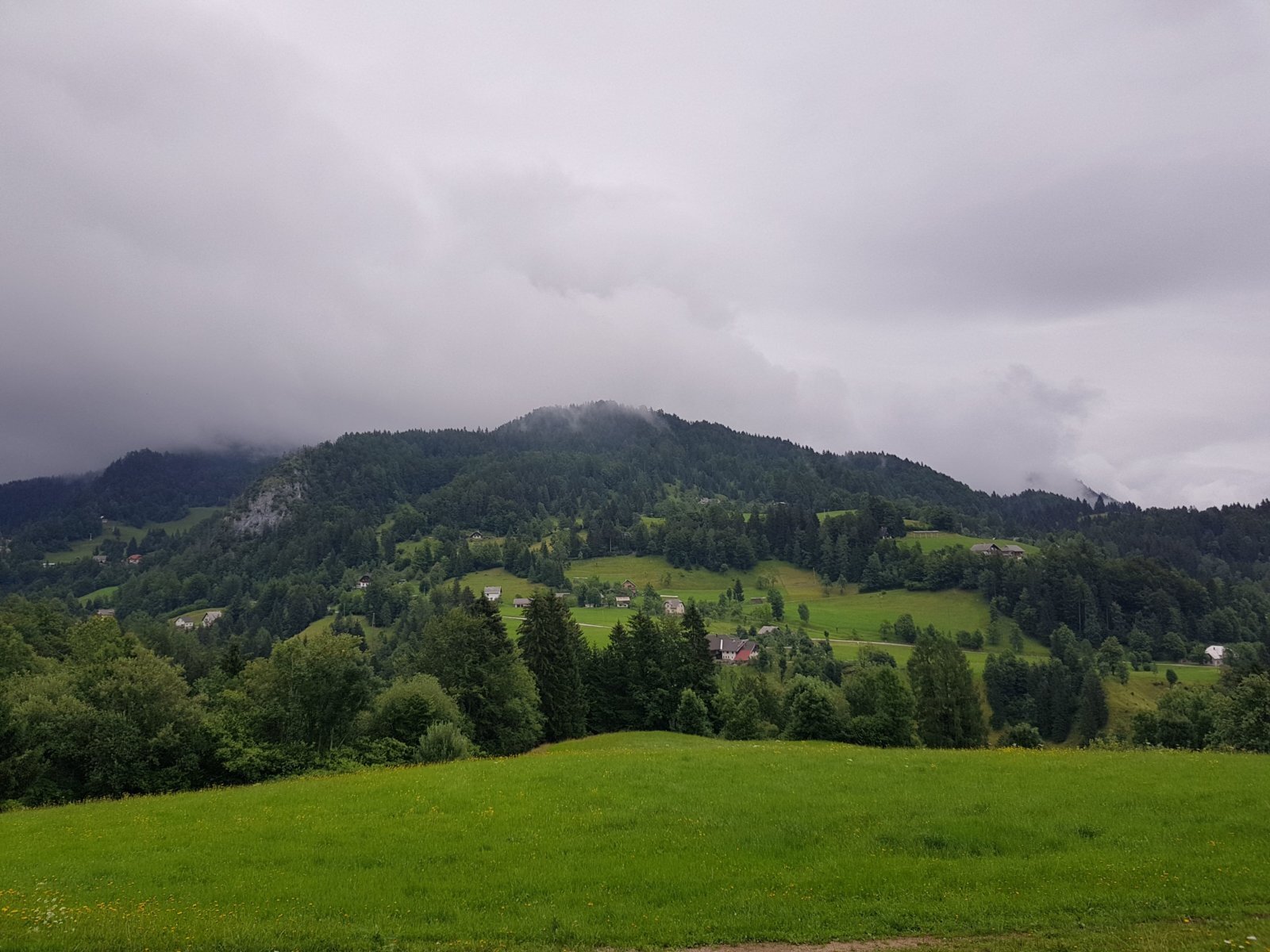 20180711_150730.jpg