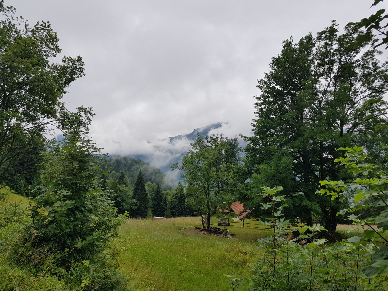 20180711_160944.jpg