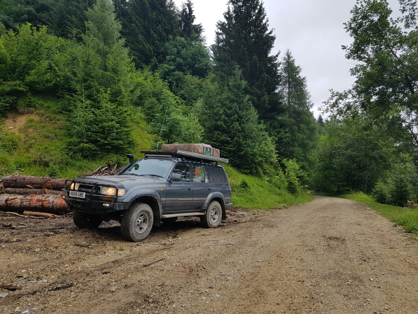20180711_160959.jpg