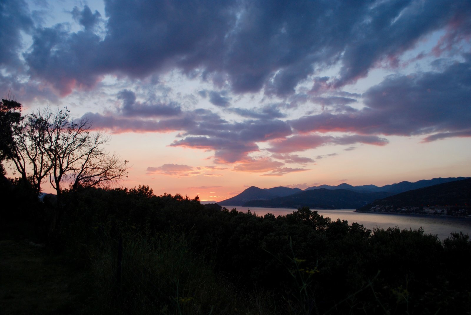 DSC_0242.jpg