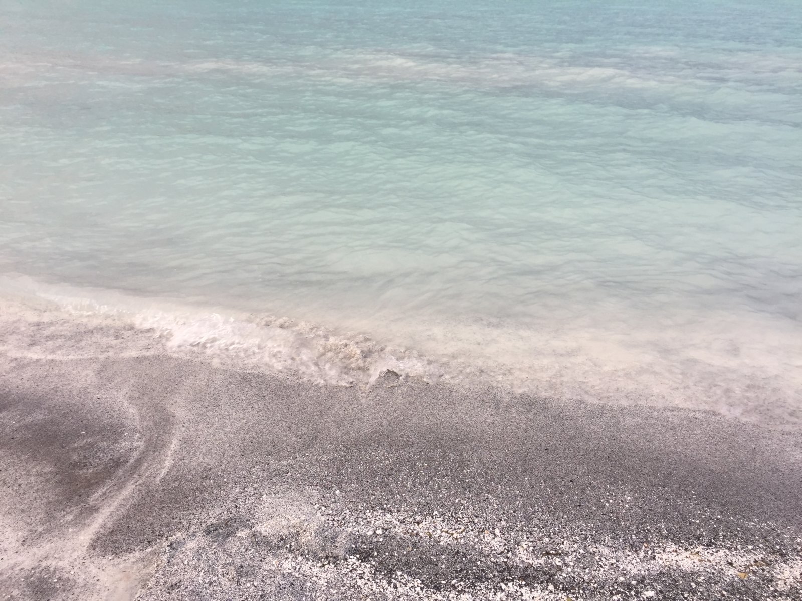 385065B3-F8B3-483E-B74C-D5D2A8948E25.jpeg