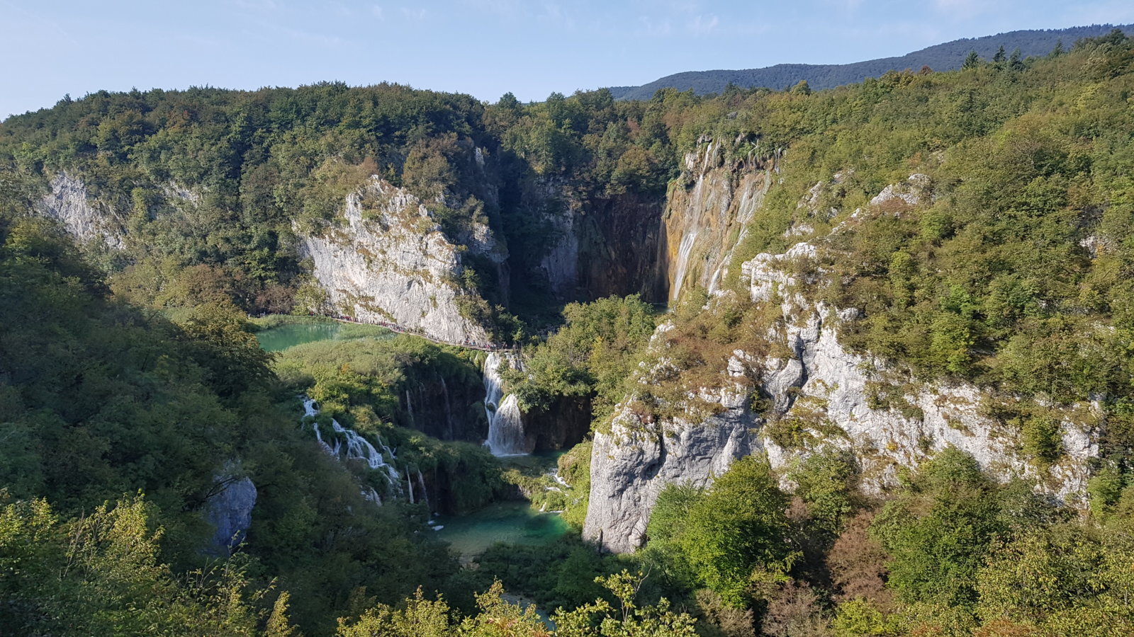 20180828_093427.jpg