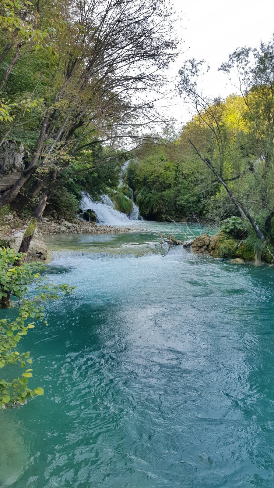 20180828_101018.jpg