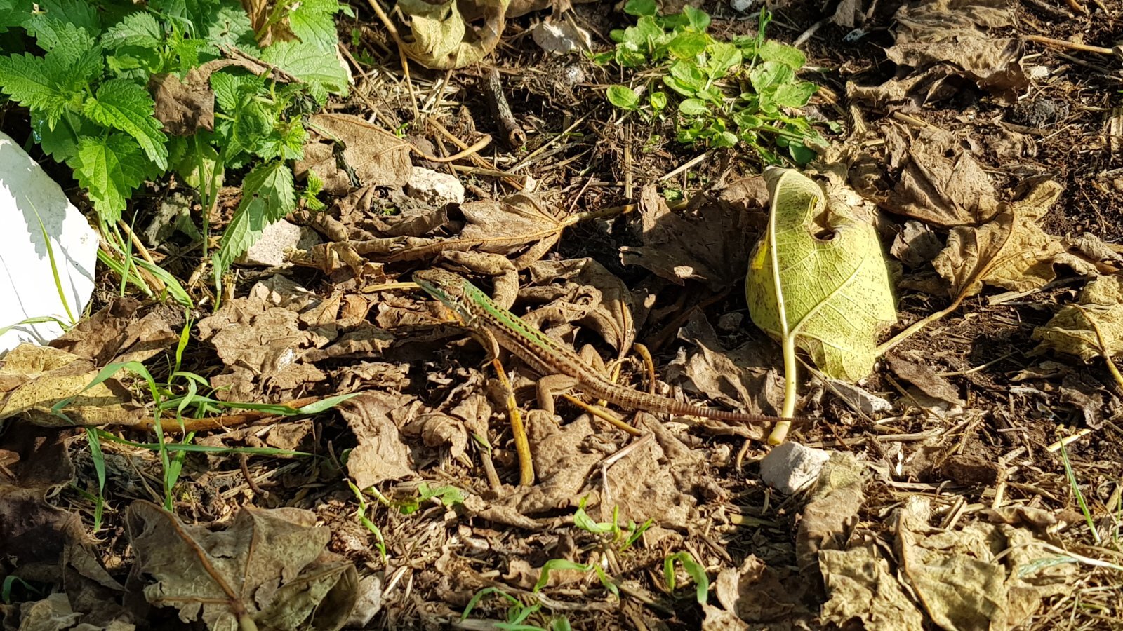 20180828_172337.jpg