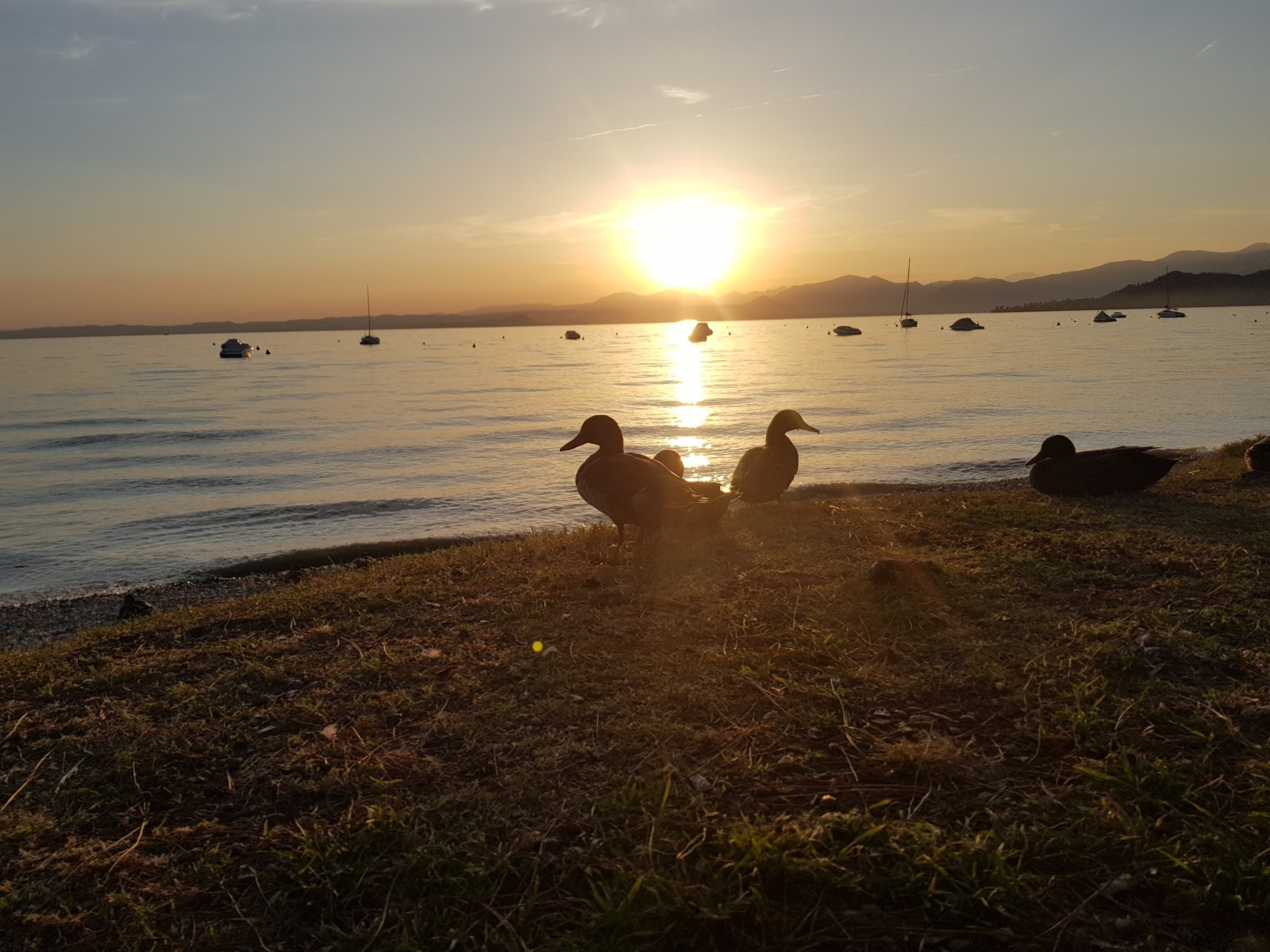 20180829_193609.jpg