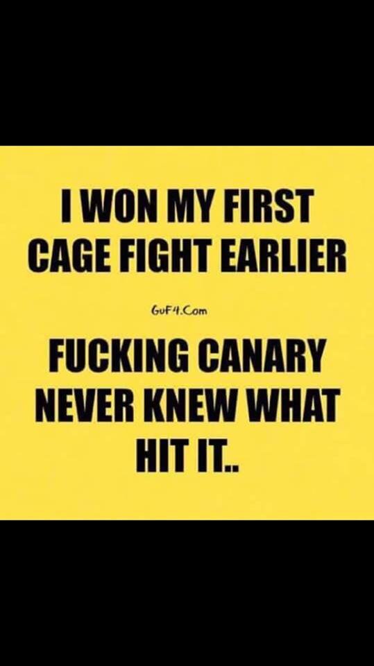 fight.jpg