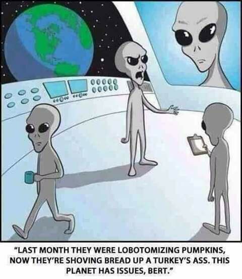 alien.jpg