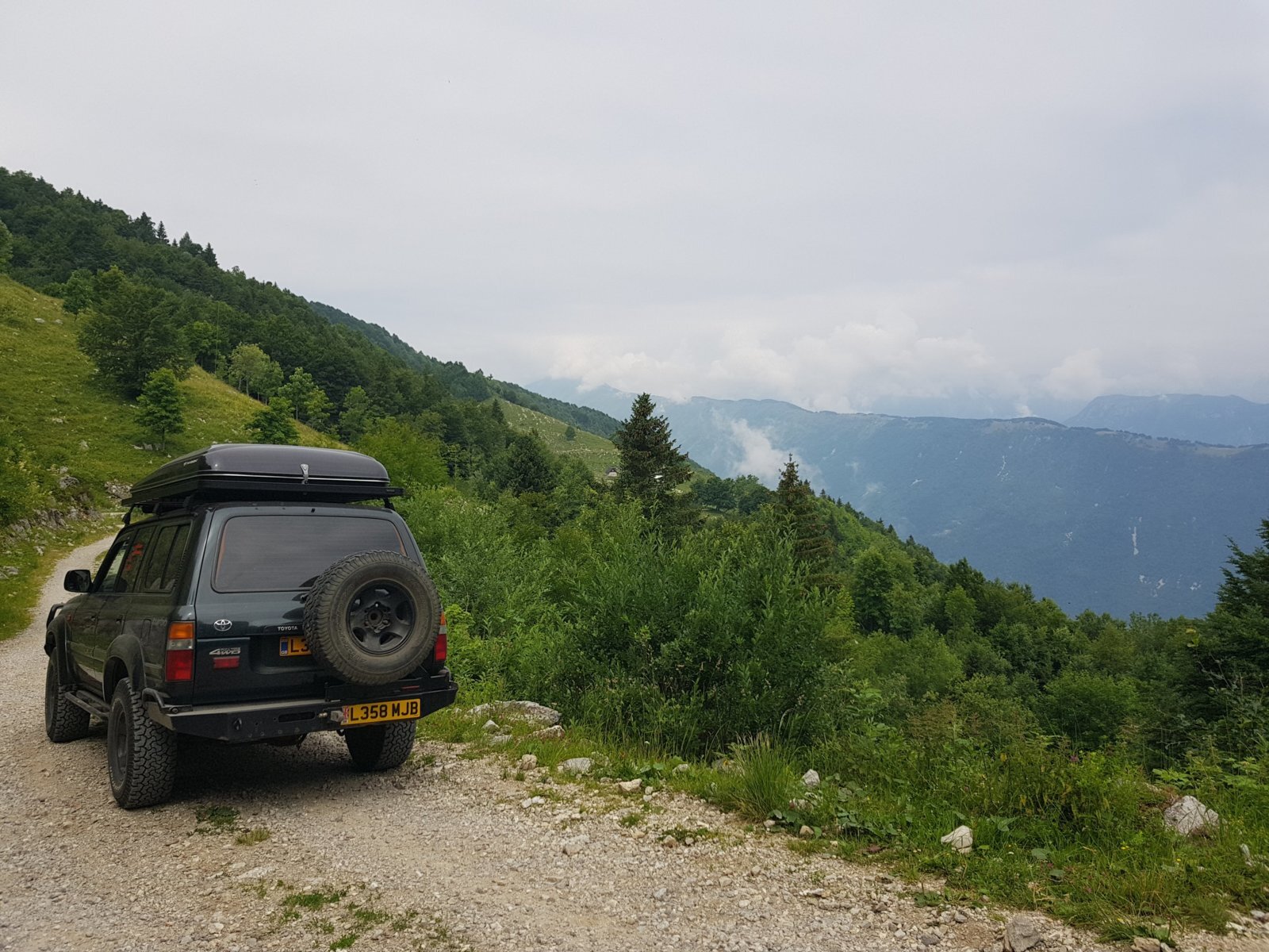 20180703_113554.jpg