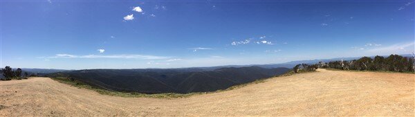 IMG_3401.jpg