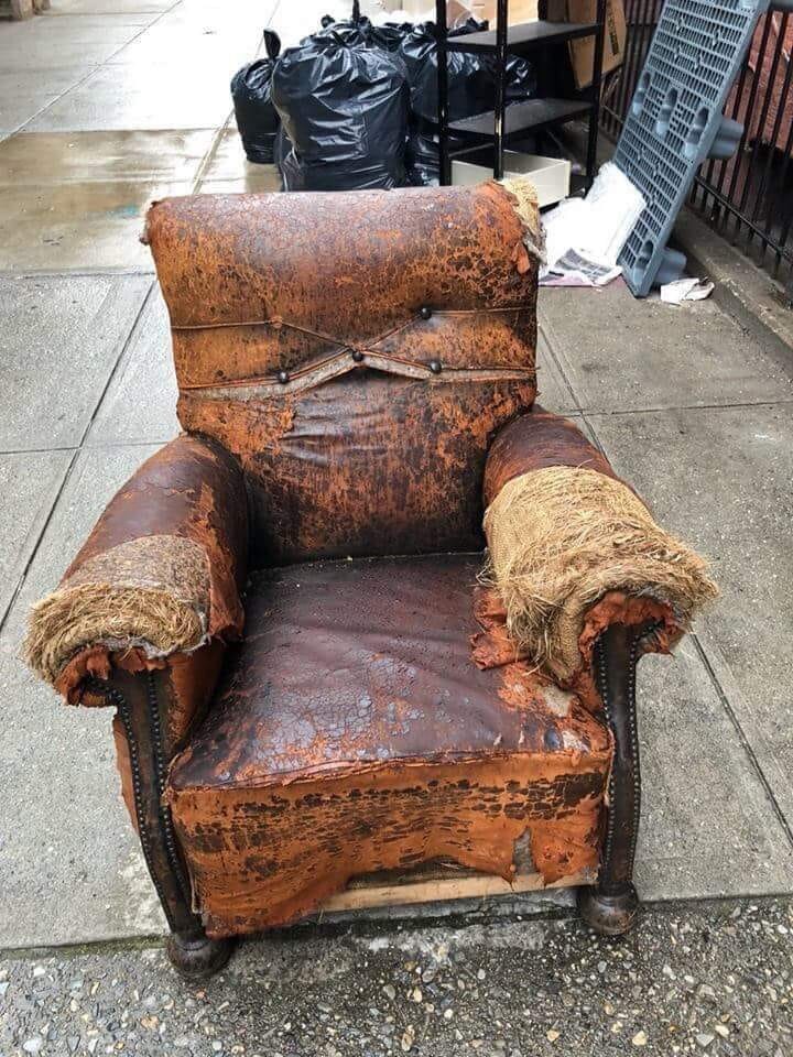 Bungle.jpg