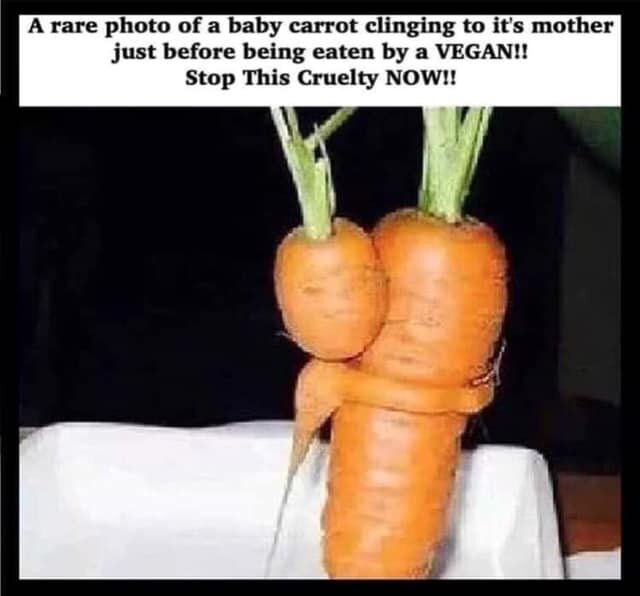 vegan 2.jpg