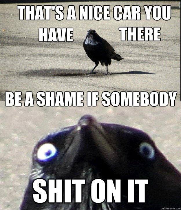 shit.jpg
