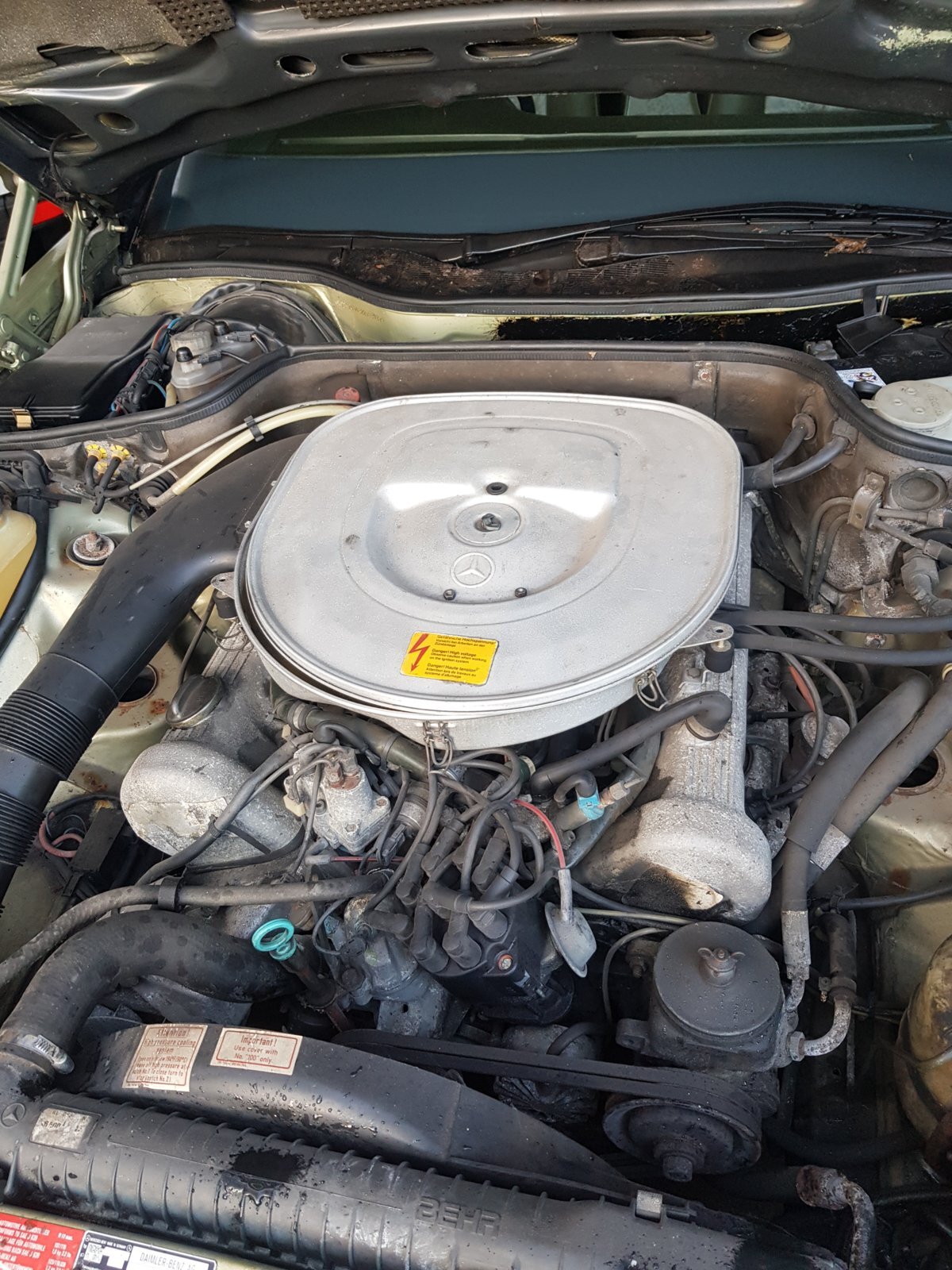 20190223_155205.jpg
