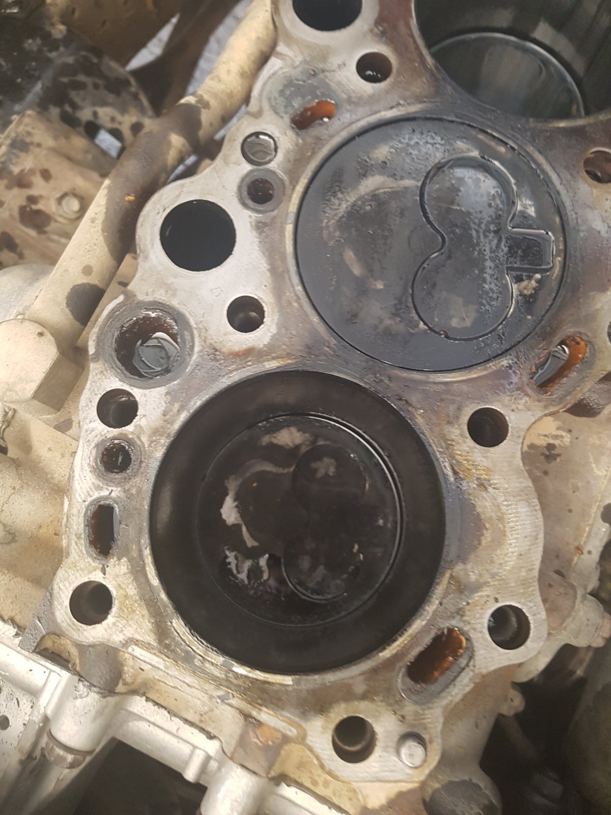 20190509_114841.jpg 20190509_114841.jpg