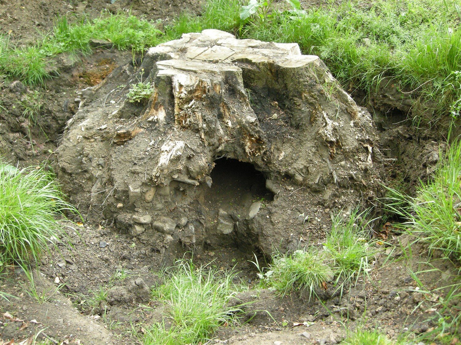 DSCN8828.jpg