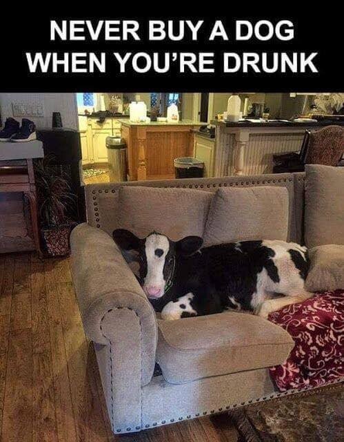 Drunk.jpg