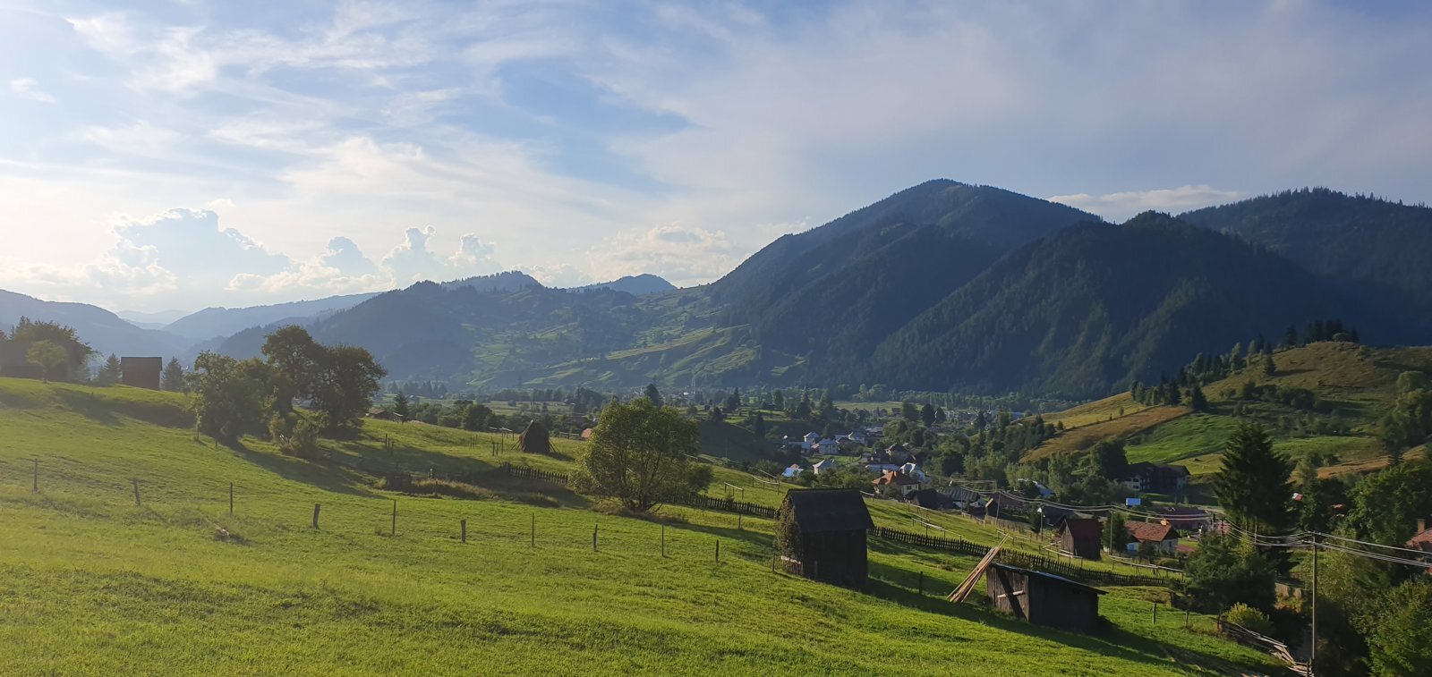 20190820_184222.jpg