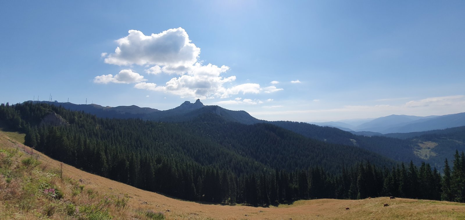 20190821_105612.jpg